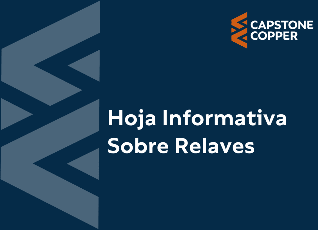 Hoja Informativa Sobre Relaves (PDF)
